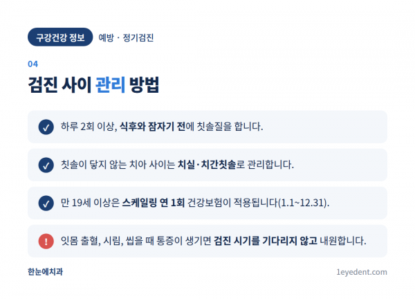 치과 정기검진, 몇 개월마다 받아야 하나 (5)